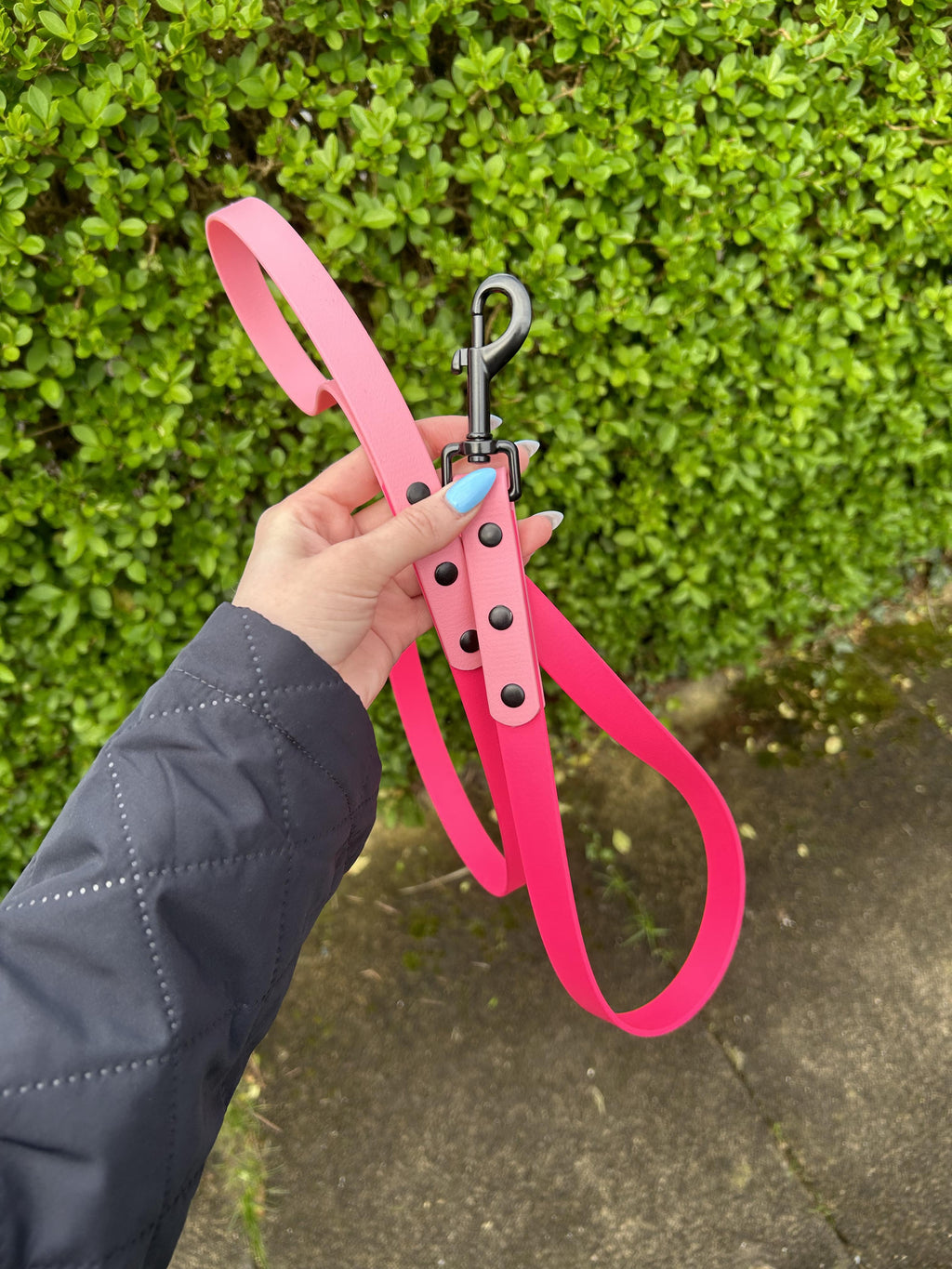 Two Tone Biothane Lead in Fuschia and Pastel Pink image 0