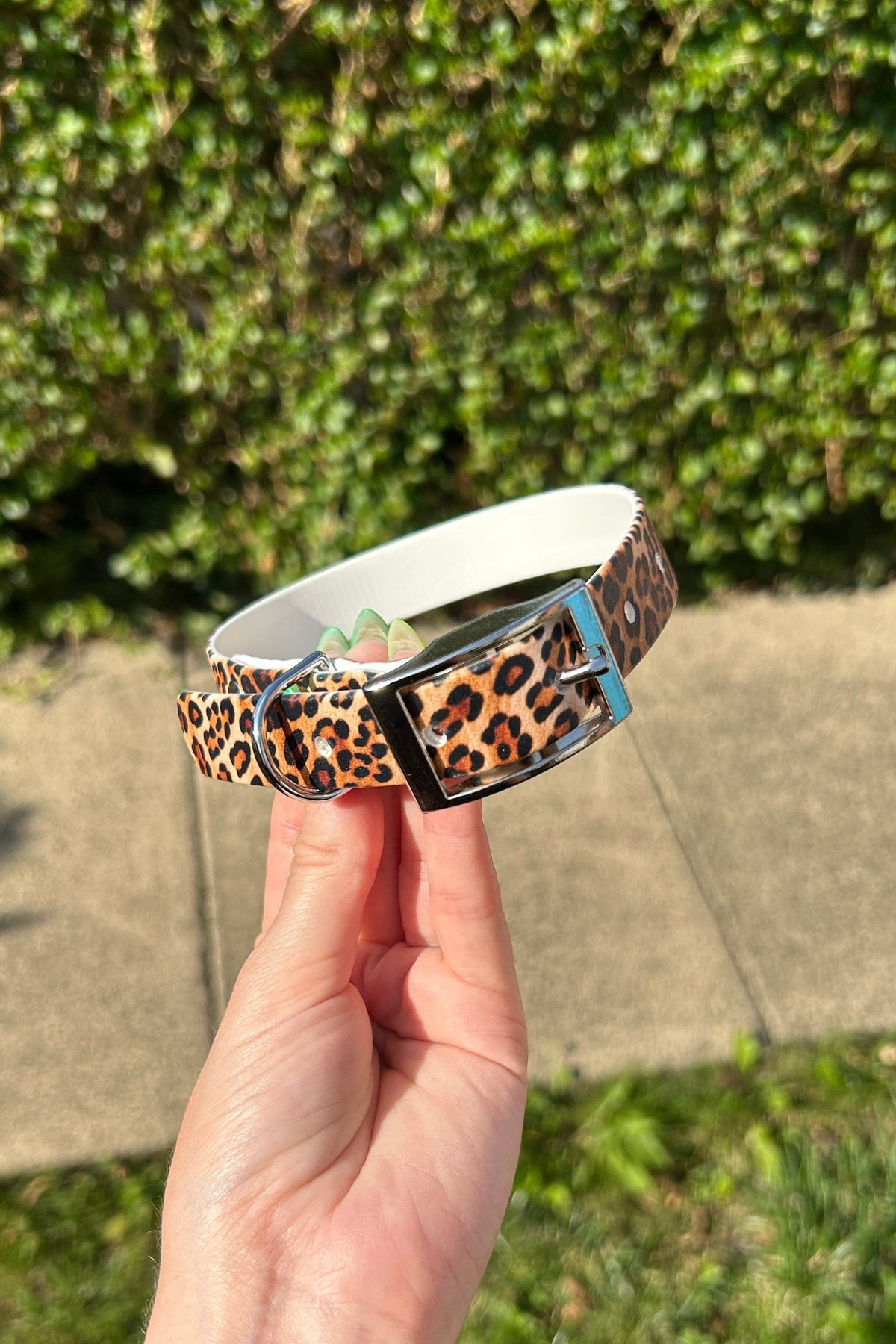 Leopard Print Biothane Collar