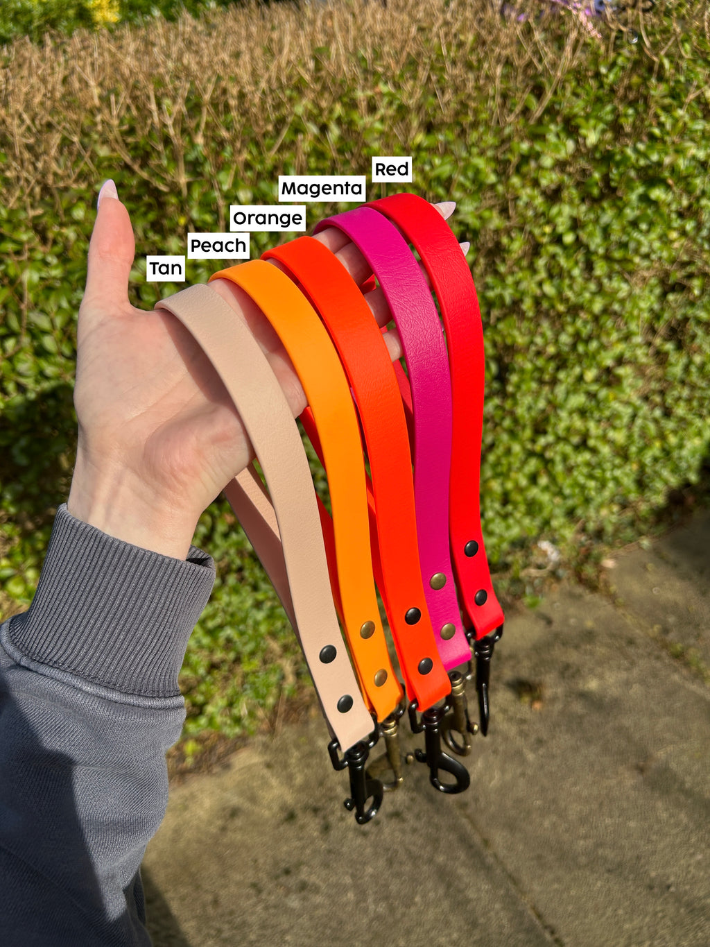 Skinny Biothane Tab Lead image 5