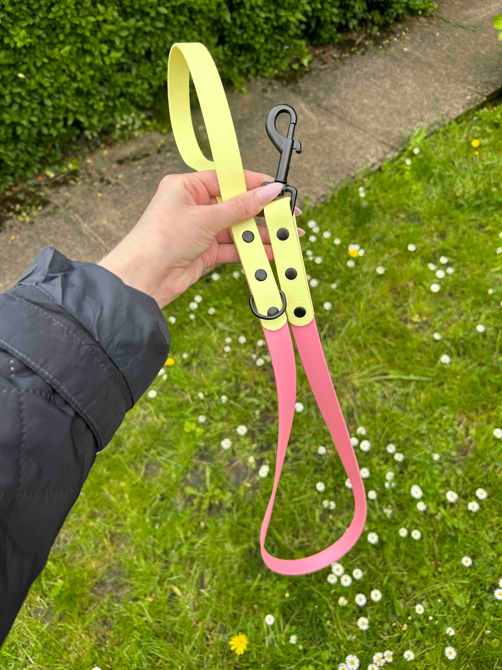Two Tone Biothane Lead in Pastel Yellow and Pink image 0