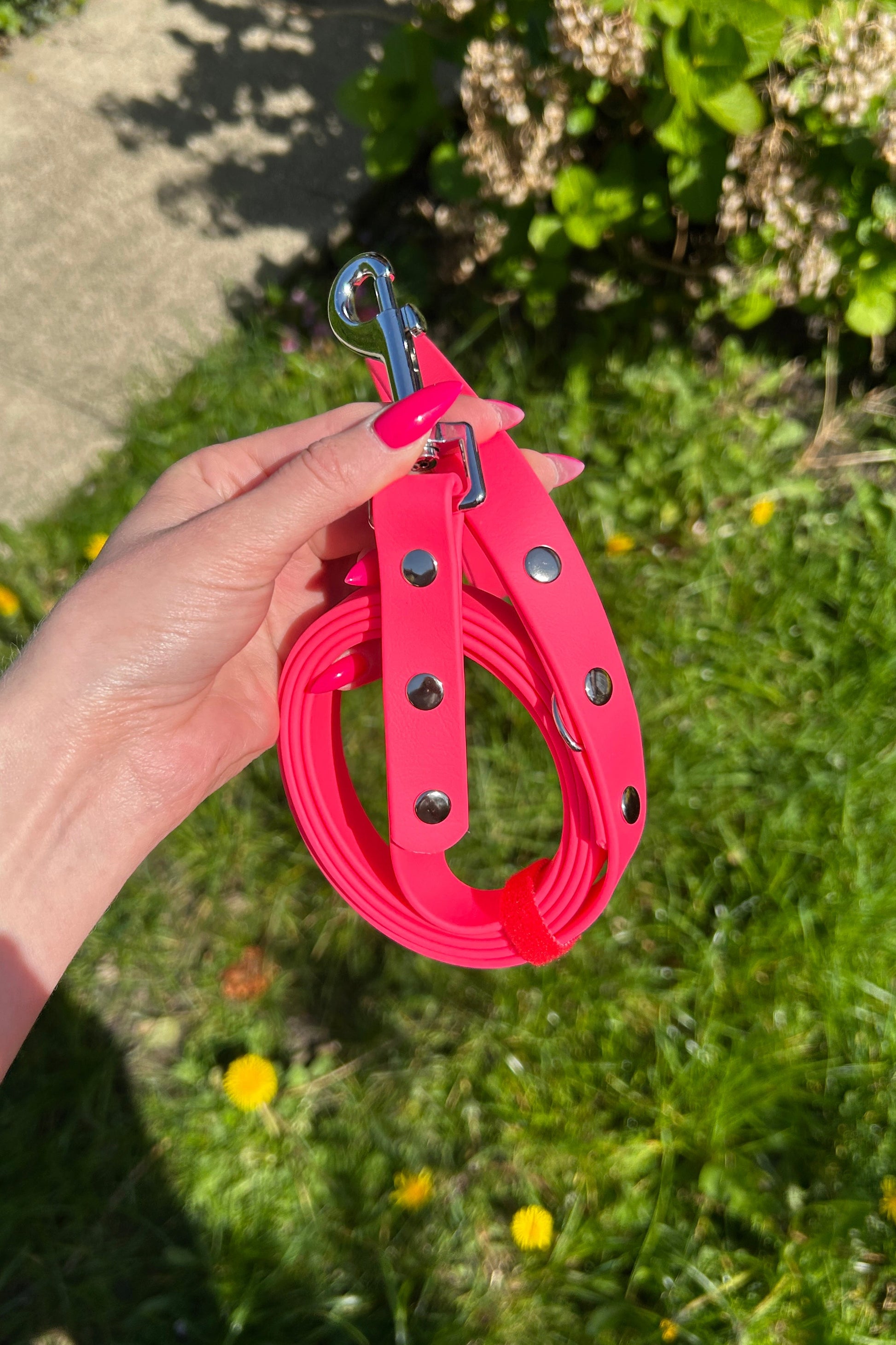 Biothane Dog Lead in Neon Pink