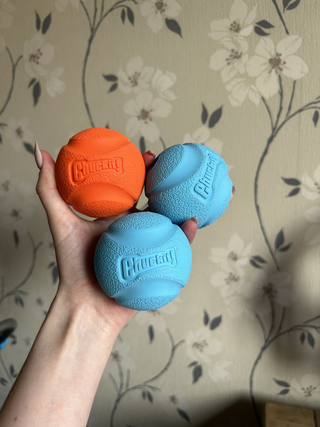 Chuckit Tug Ball image 7