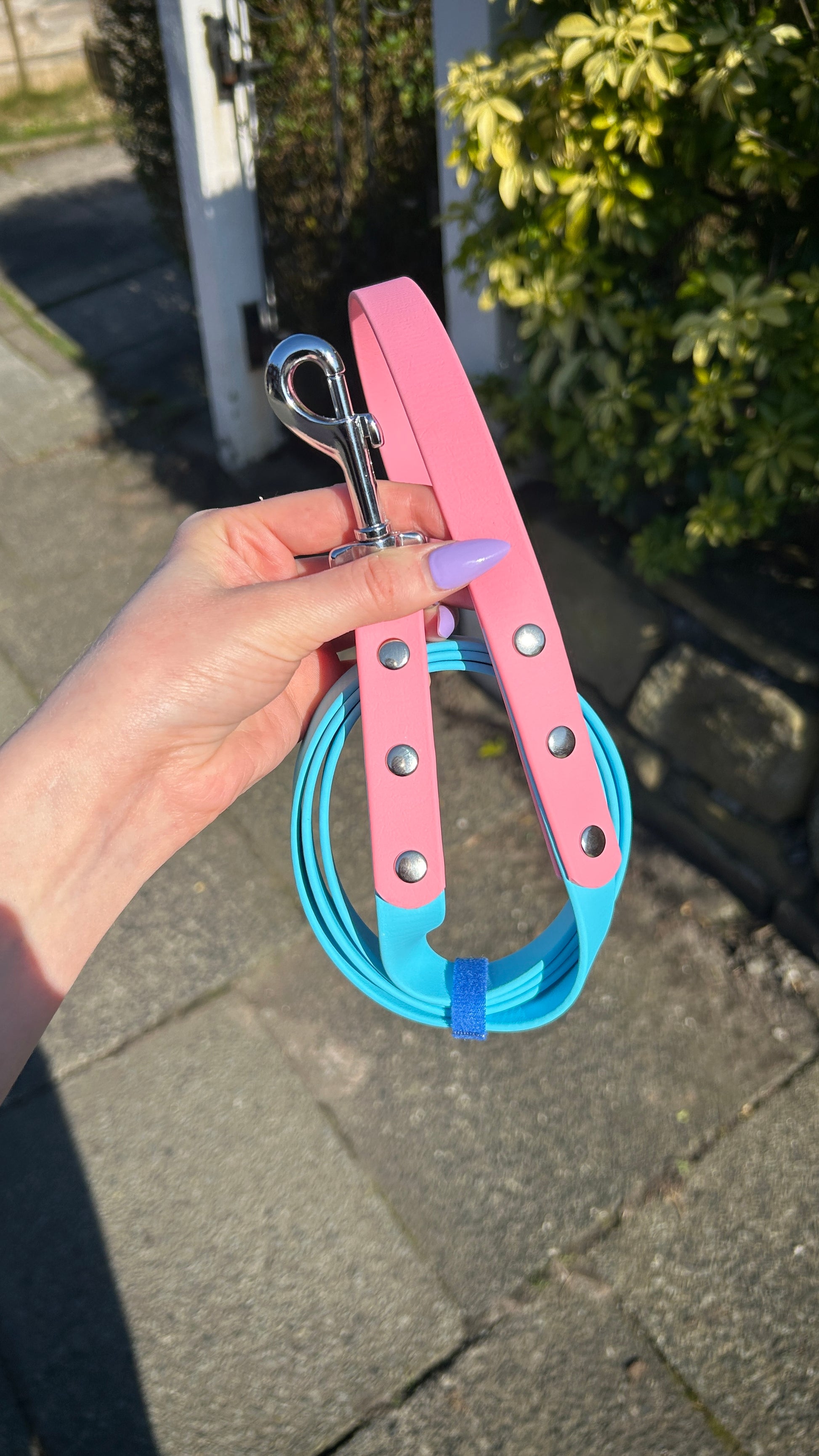 Two Tone Biothane Lead in Skyan and Pastel Pink