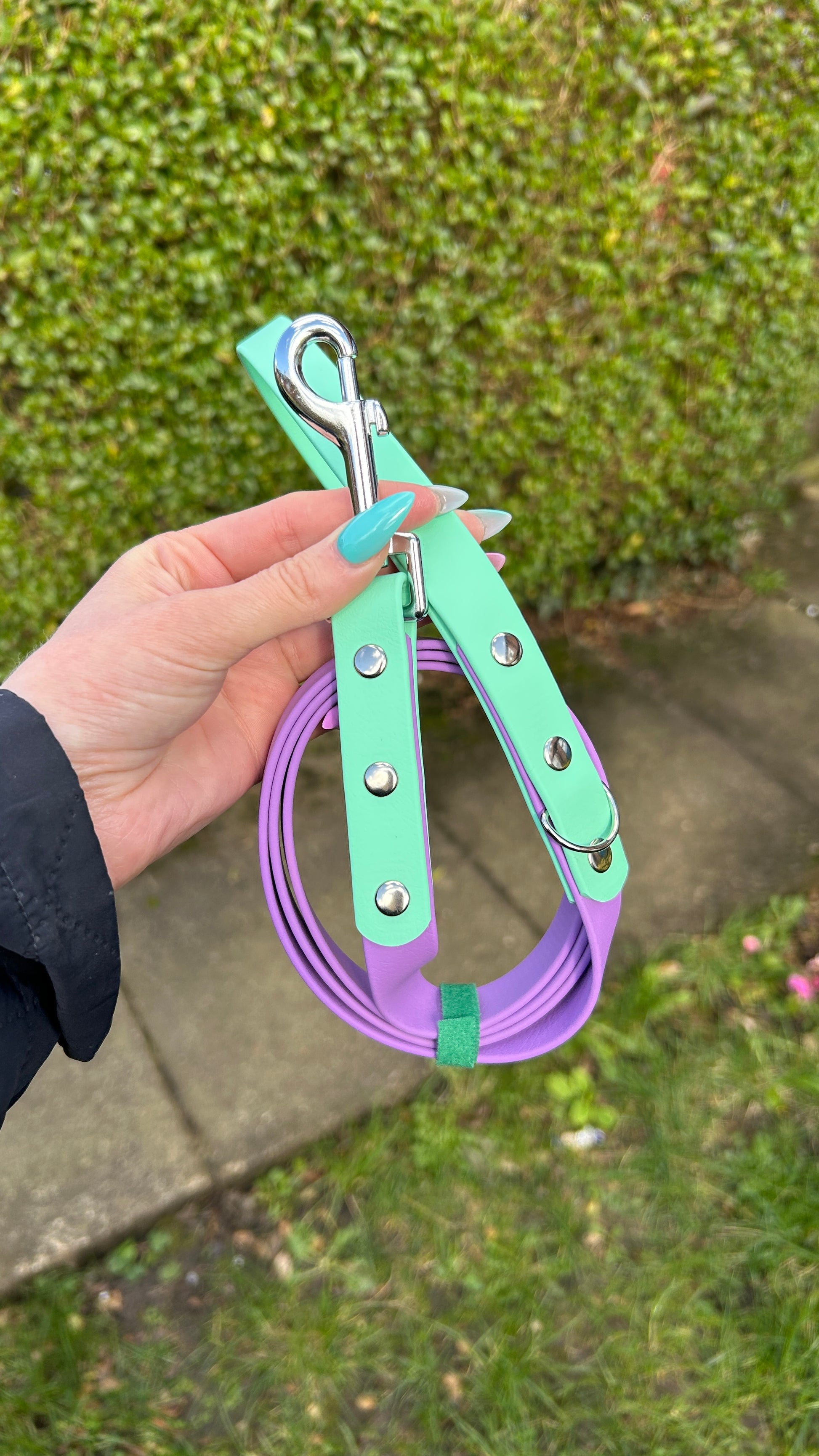 Two Tone Biothane Lead in Amethyst and Seafoam