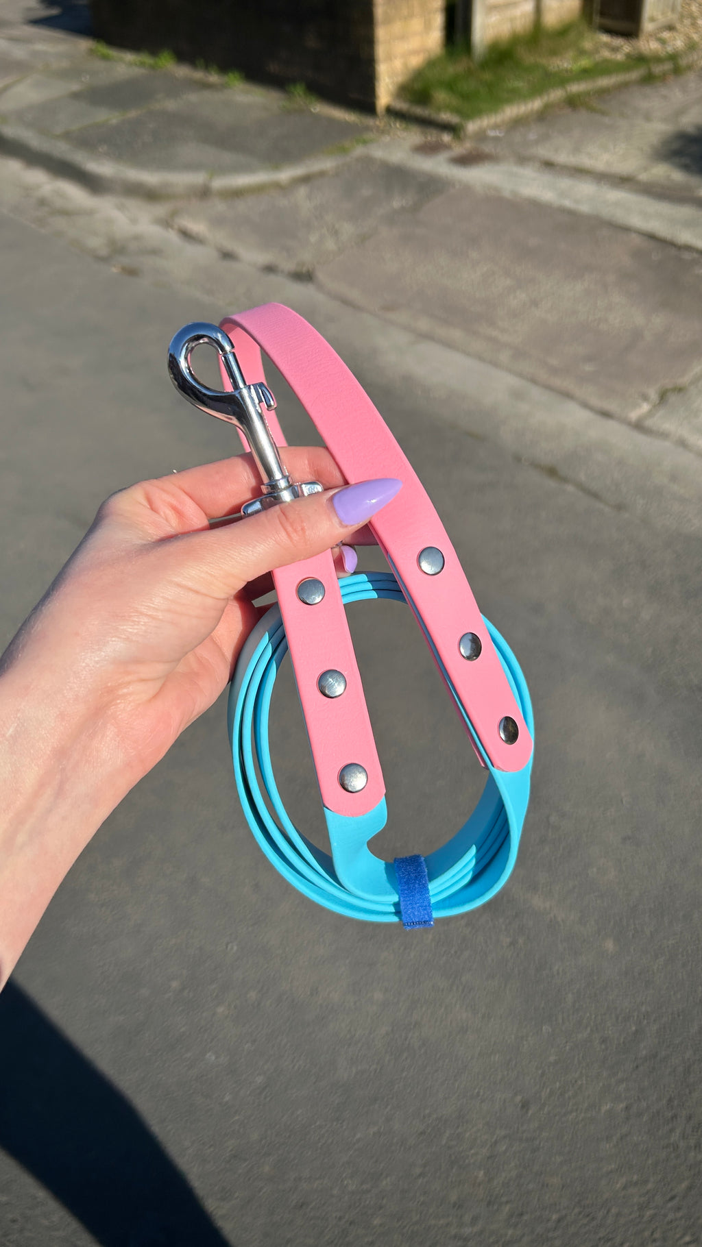 Two Tone Biothane Lead in Skyan and Pastel Pink