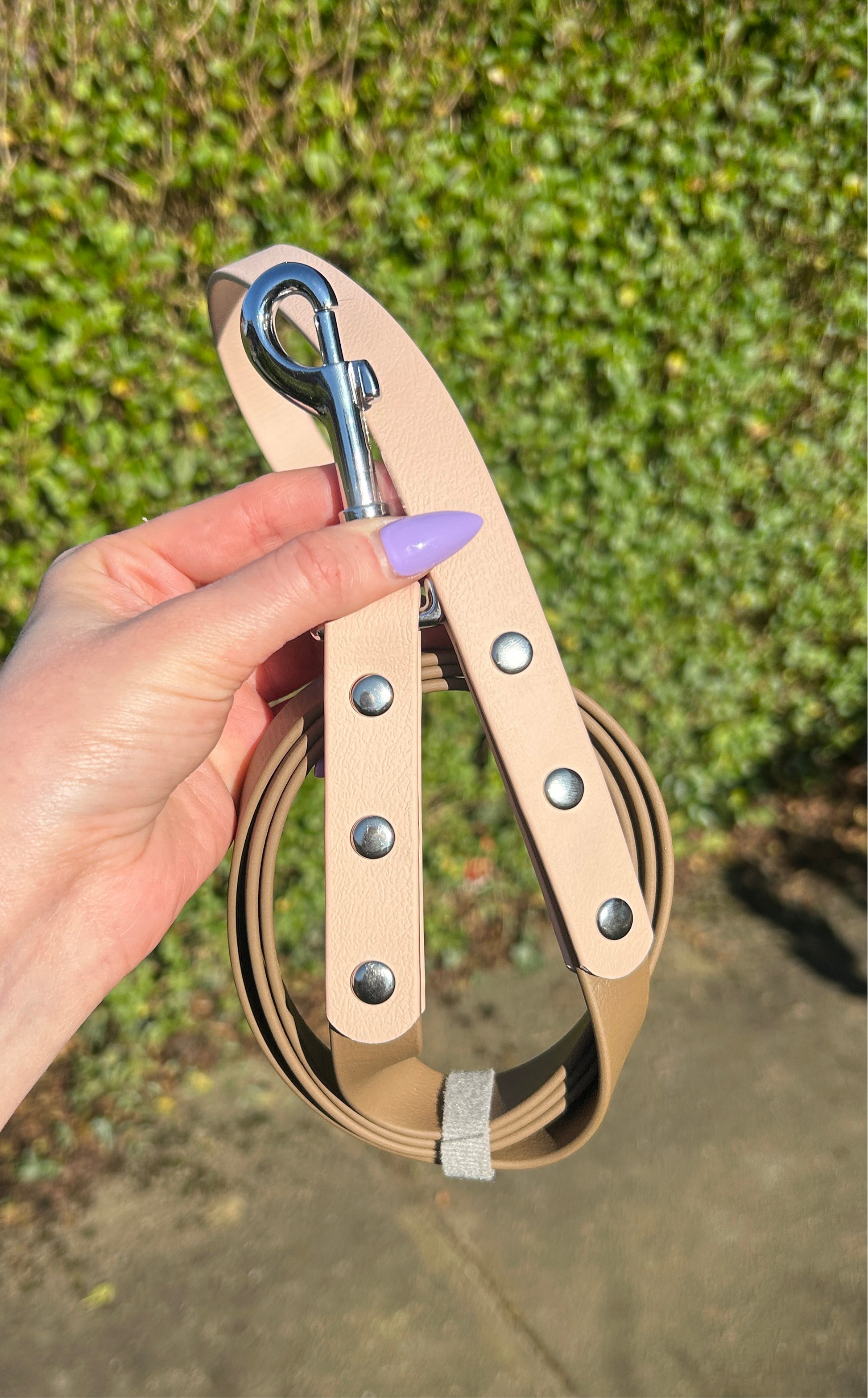 Two Tone Biothane Lead in Tan and Brown