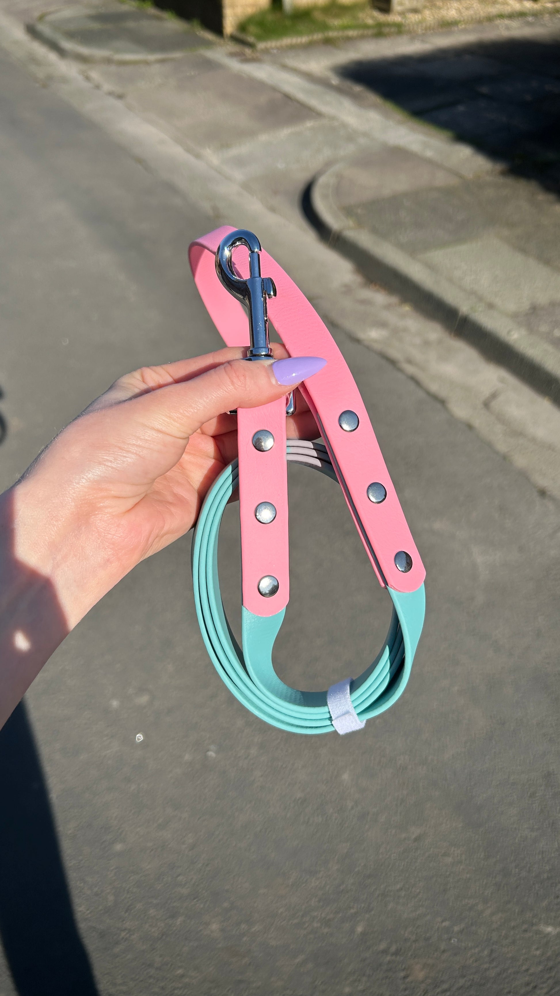 Two Tone Biothane Lead in Dusty Turquoise and Pastel Pink