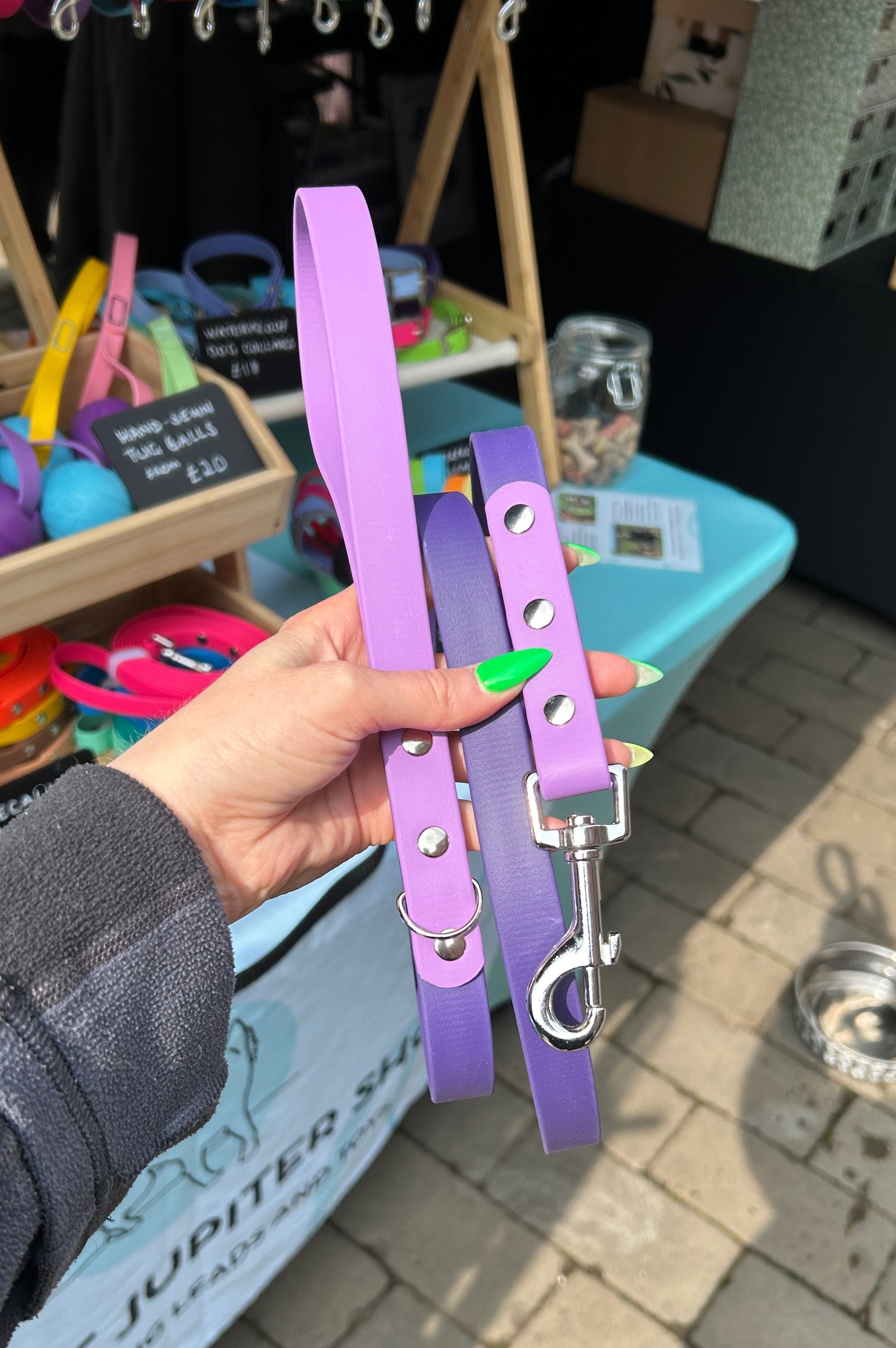 Two Tone Biothane Lead in Violet and Amethyst