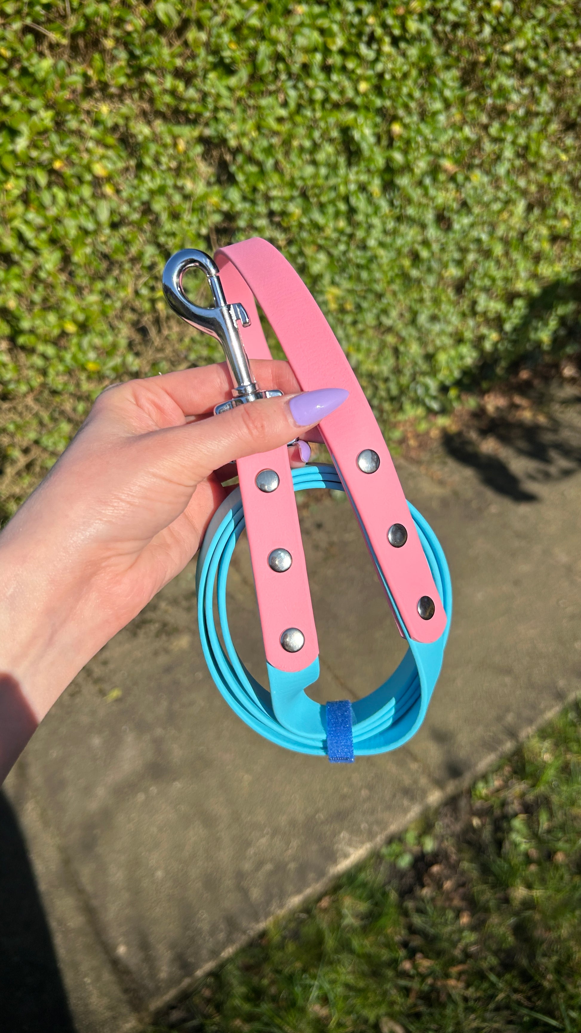 Two Tone Biothane Lead in Skyan and Pastel Pink