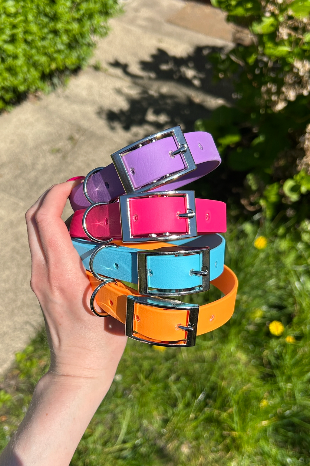 Biothane Dog Collar