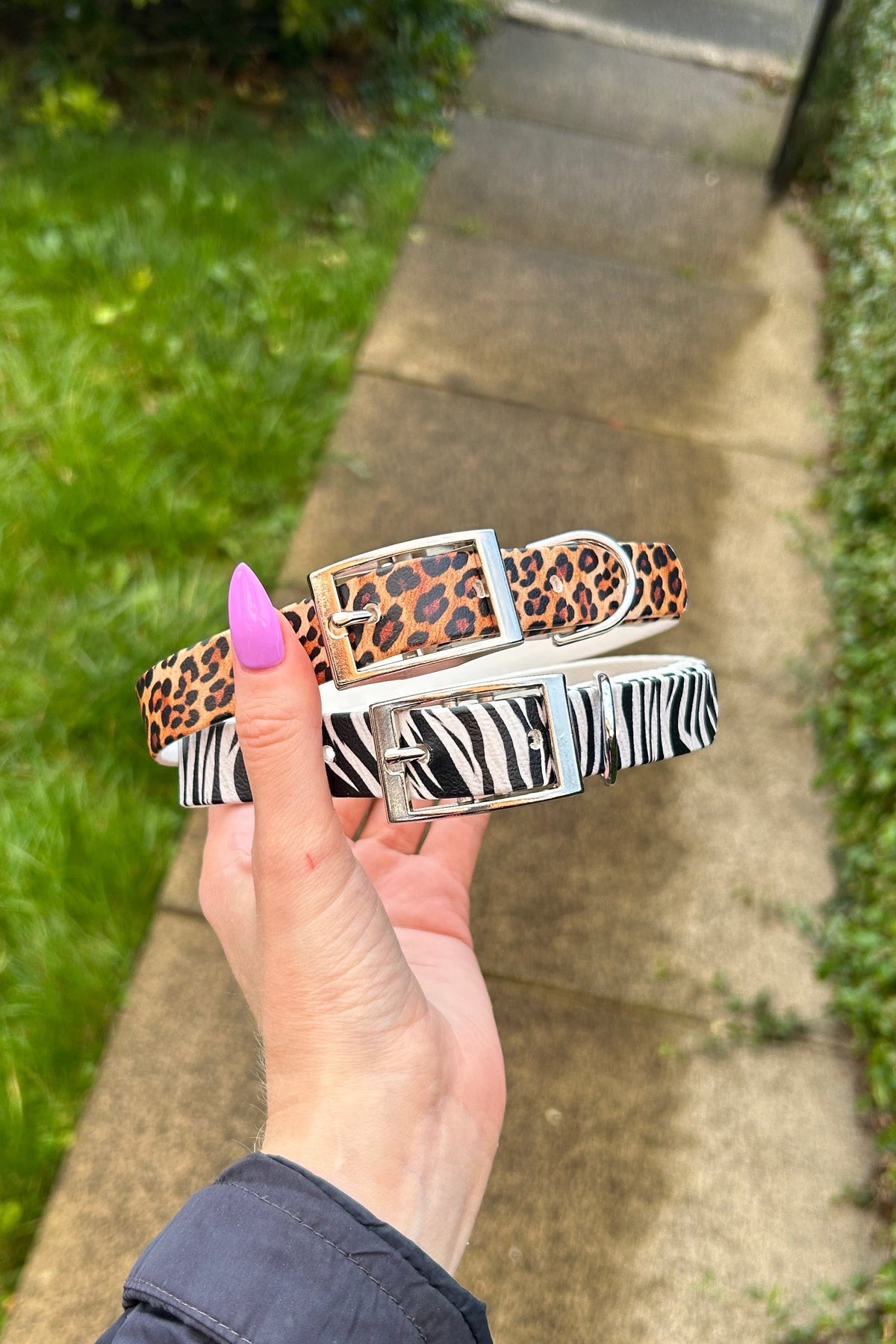 Zebra Print Biothane Collar