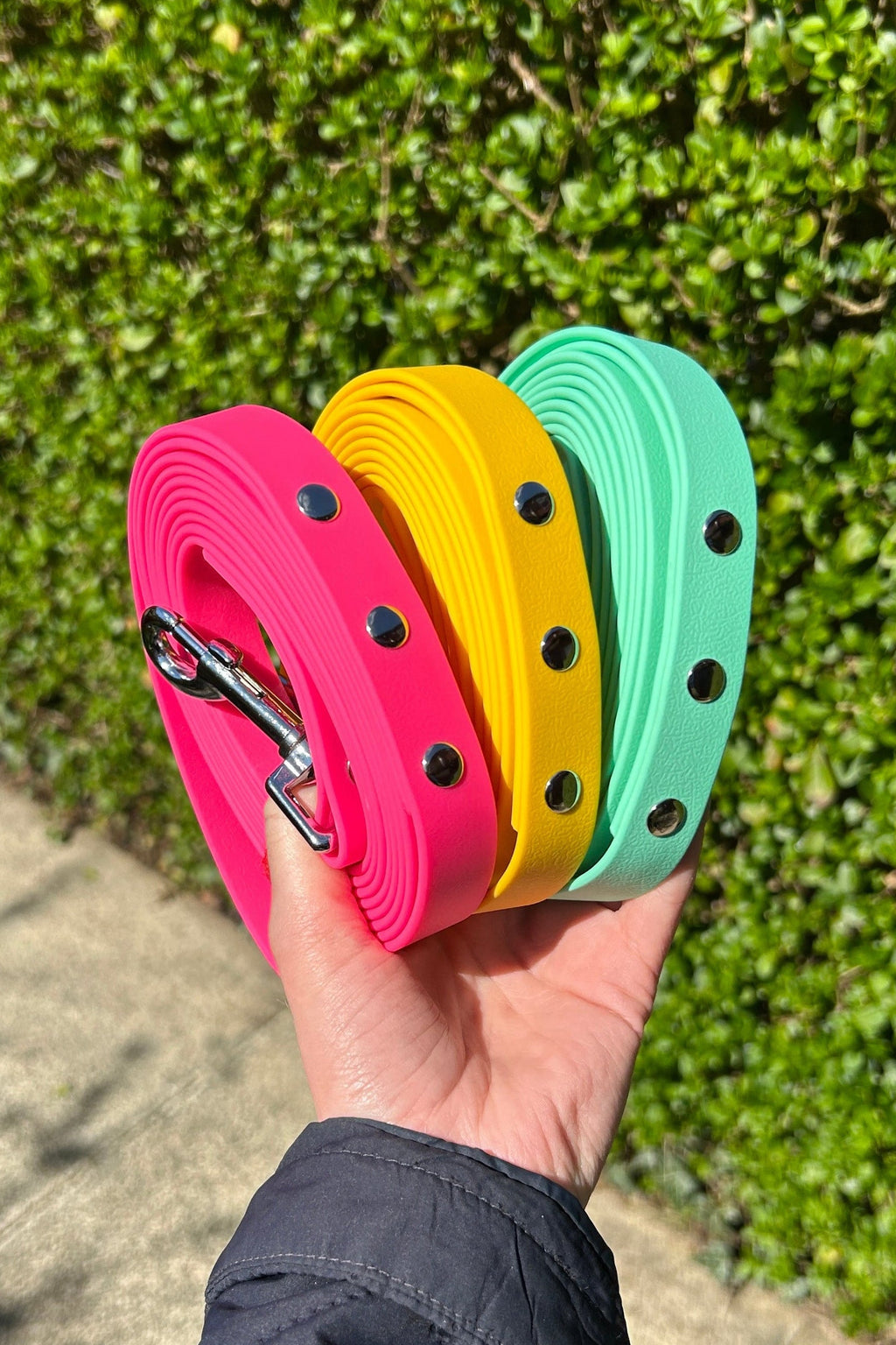 2.5m Recall Dog Lead