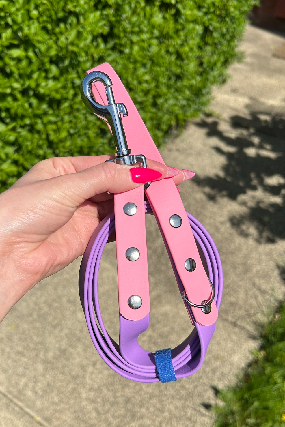 Two Tone Biothane Lead in Amethyst and Pastel Pink