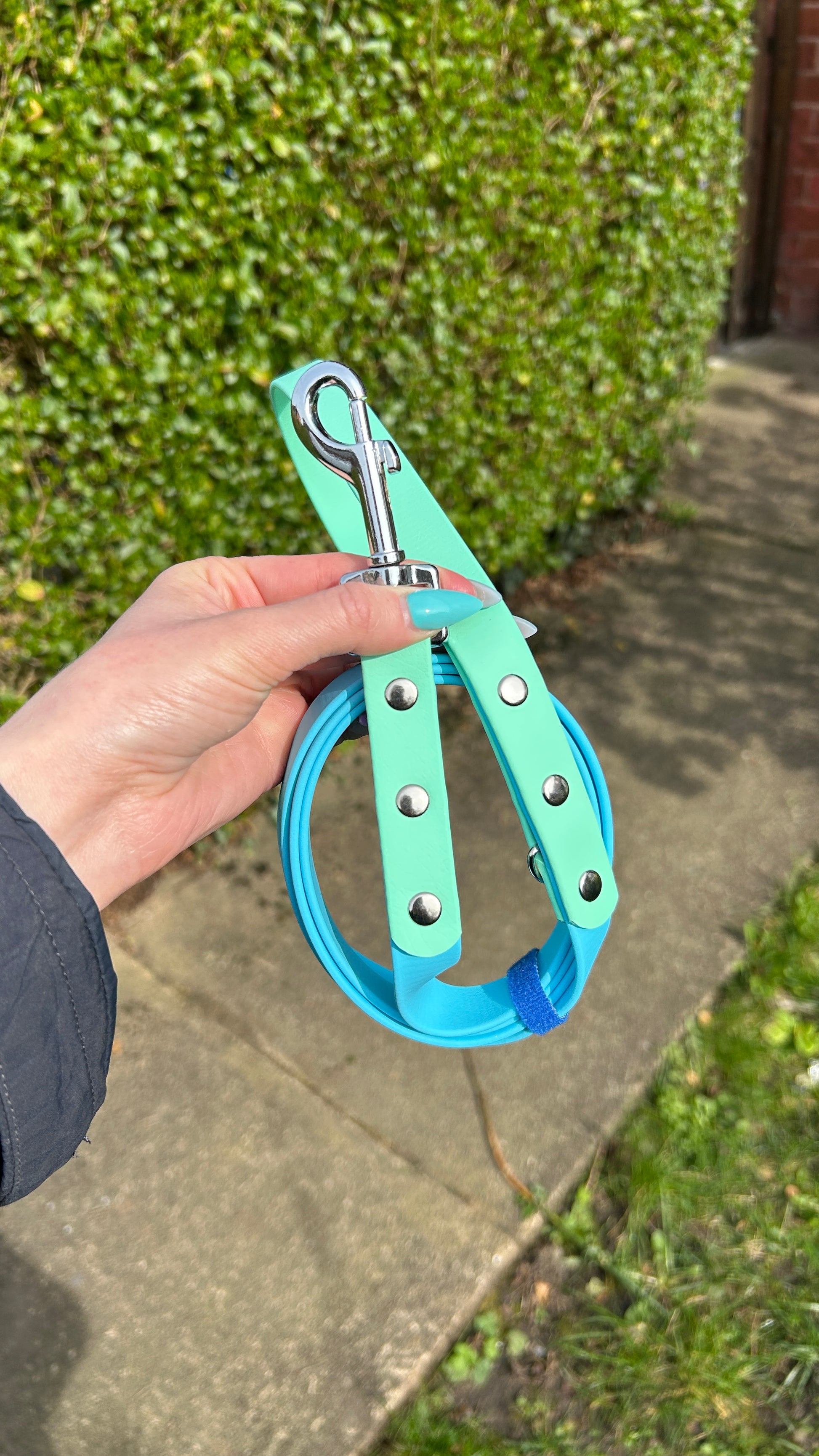 Two Tone Biothane Lead in Skyan and Seafoam