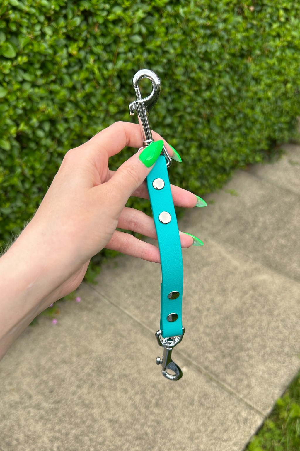Collar to Harness Safety Clip