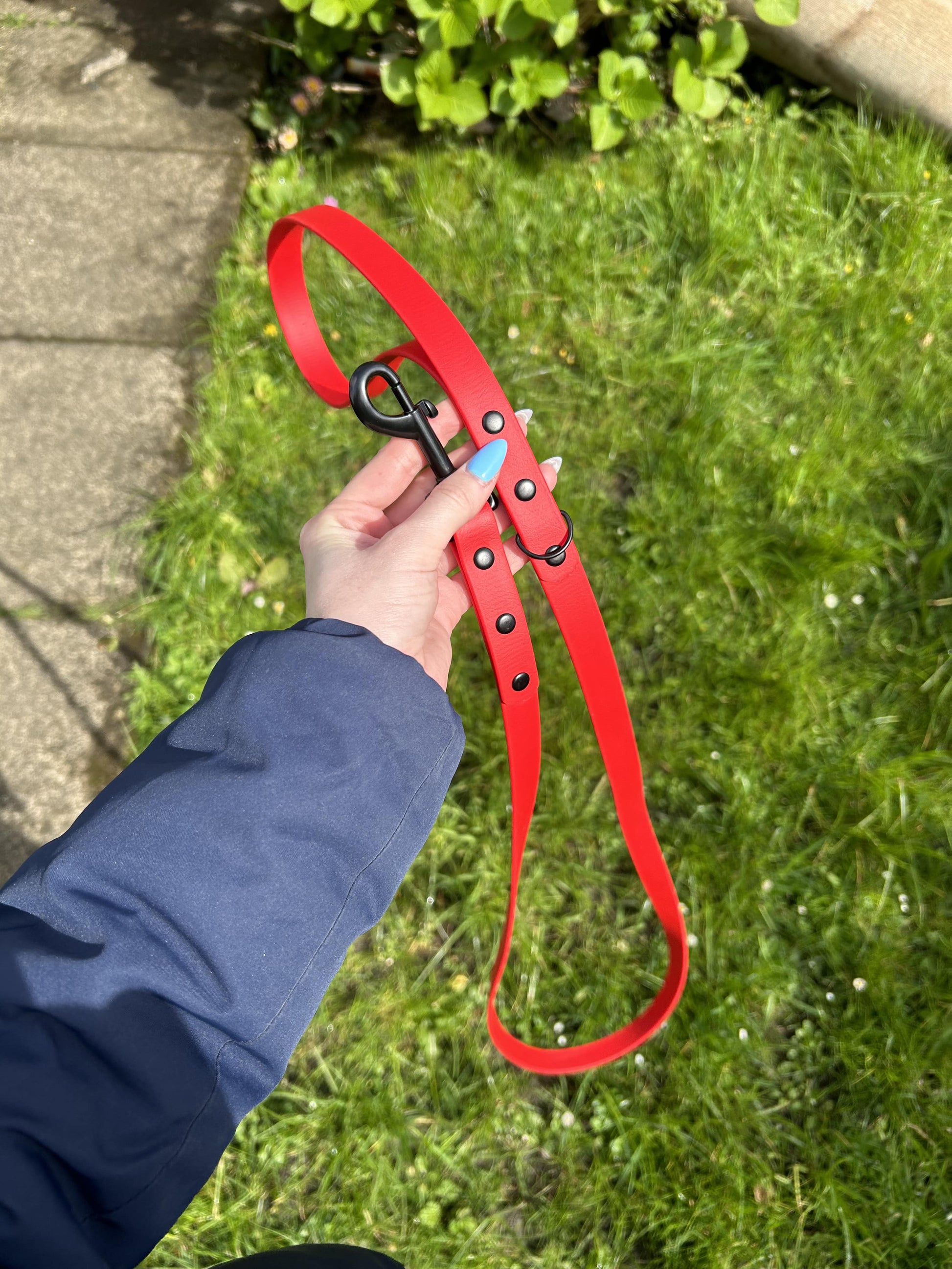 1.5m Biothane Lead image 3