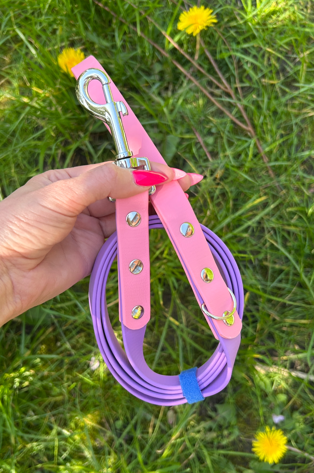 Two Tone Biothane Lead in Amethyst and Pastel Pink