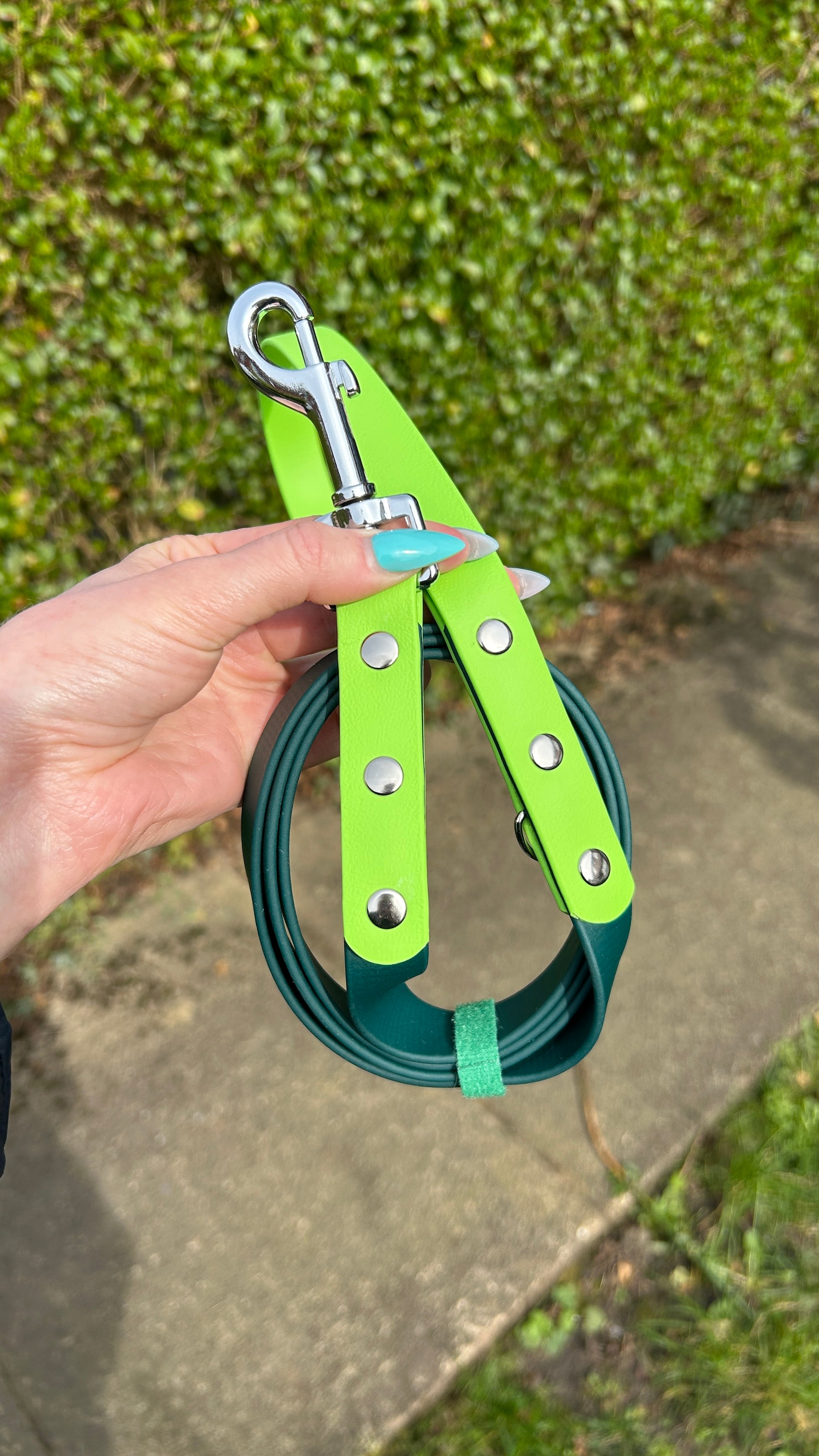 Two Tone Biothane Lead in Dark Green and Apple