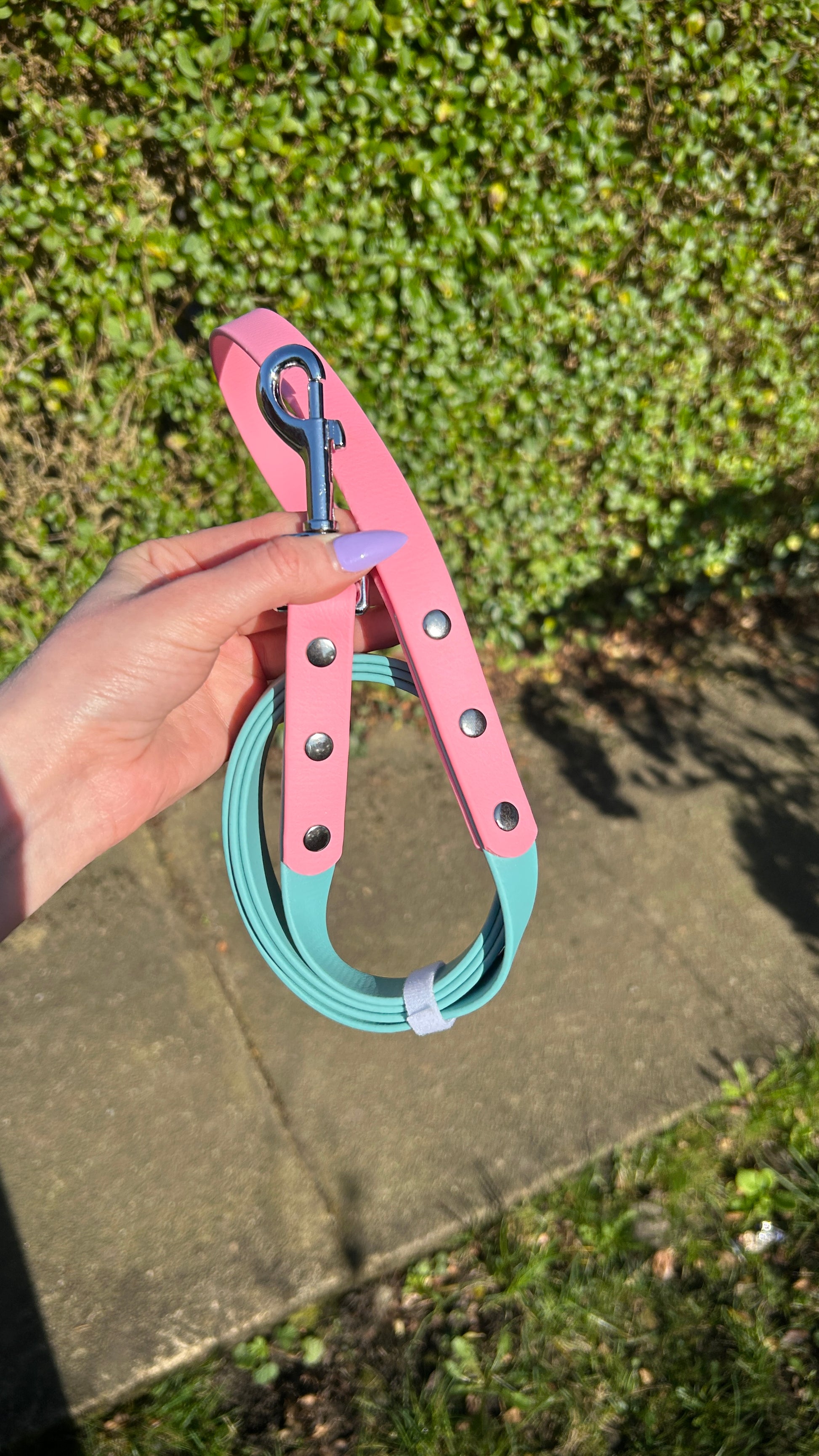 Two Tone Biothane Lead in Dusty Turquoise and Pastel Pink