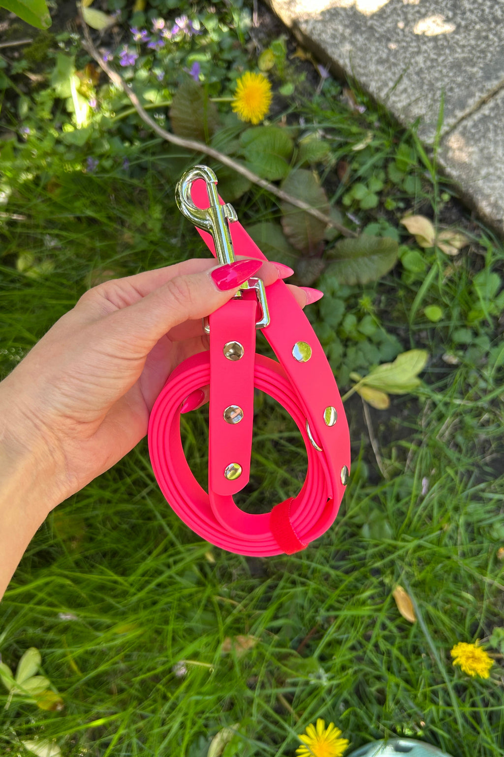Biothane Dog Lead in Neon Pink