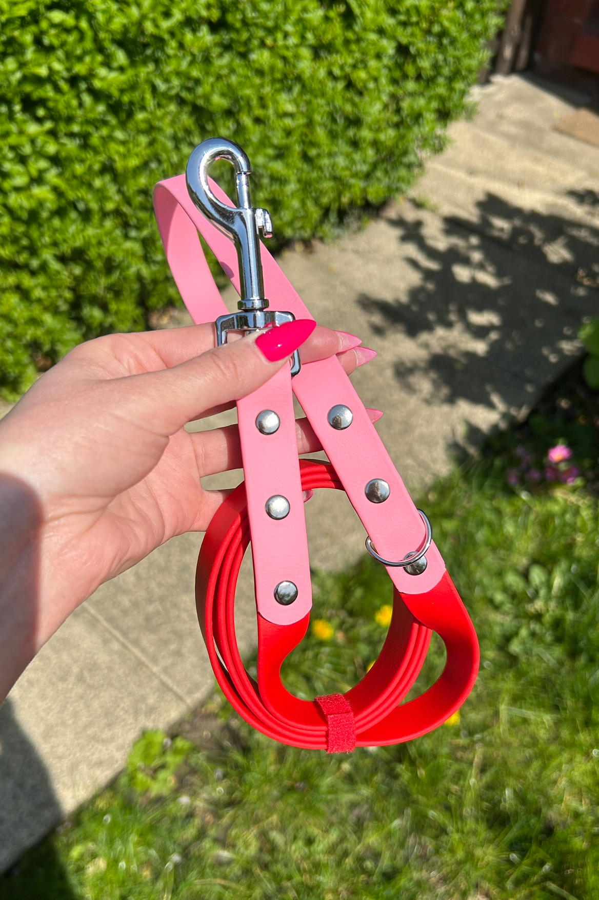 Two Tone Biothane Lead in Red and Pastel Pink