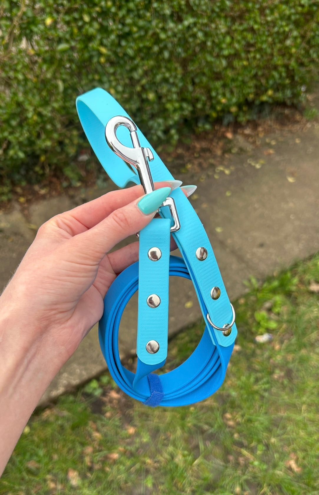 Two Tone Biothane Lead in Light Blue and Skyan