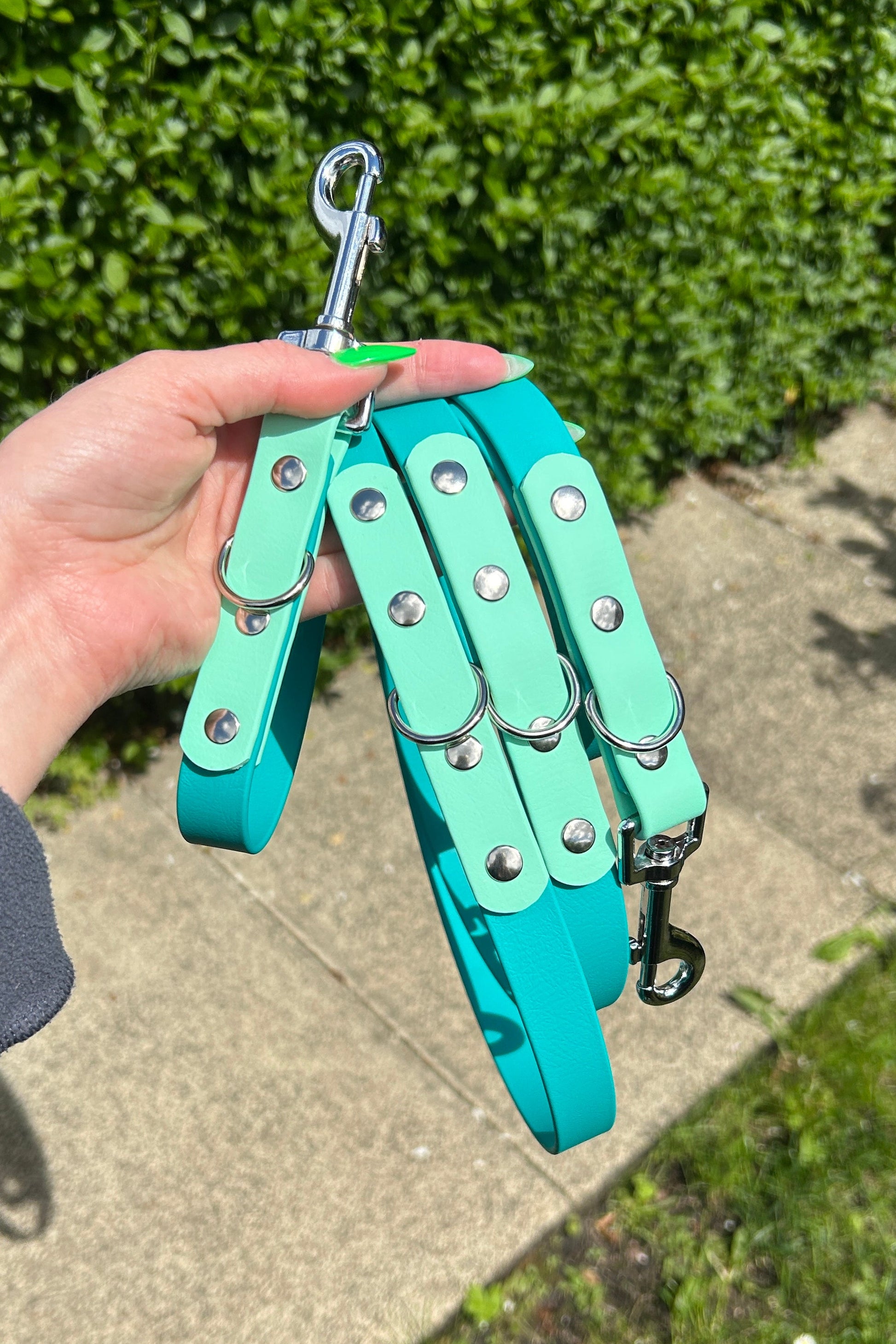 Turquoise dog leash with metal clips held by a hand against a green bush background
