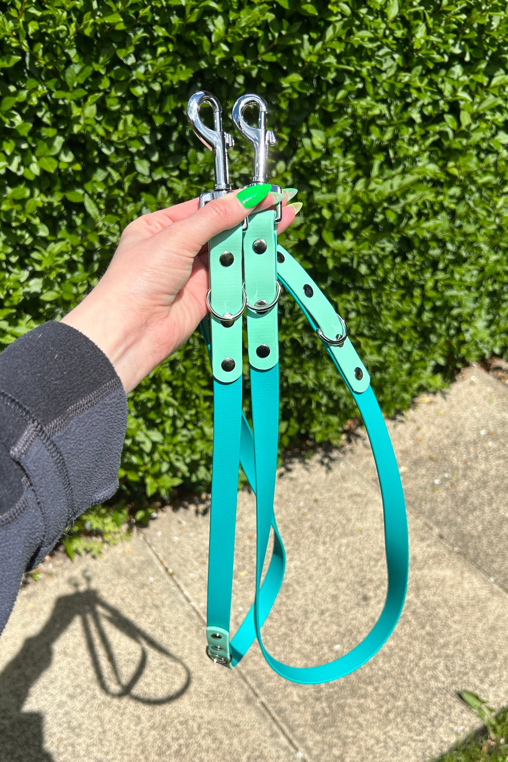 Double Ended Biothane Lead