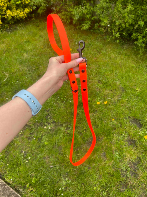 1.5m Biothane Lead image 1