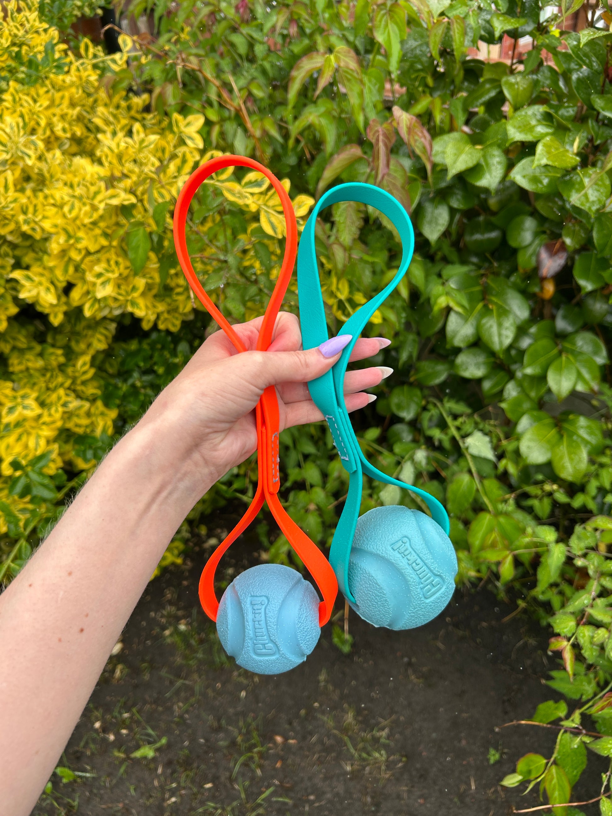 Chuckit Tug Ball image 1