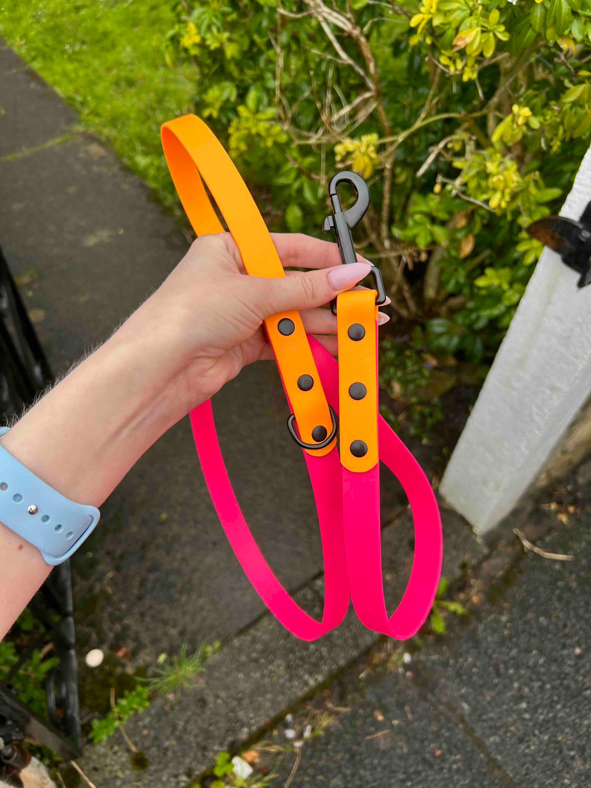 Two Tone Biothane Lead in Fuschia and Peach image 0