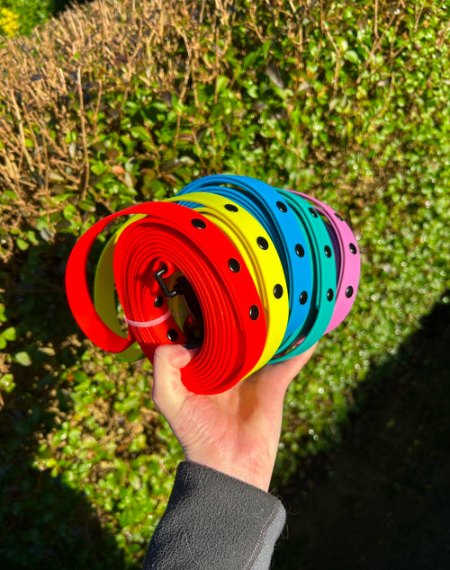 2.5m Recall Dog Lead image 0