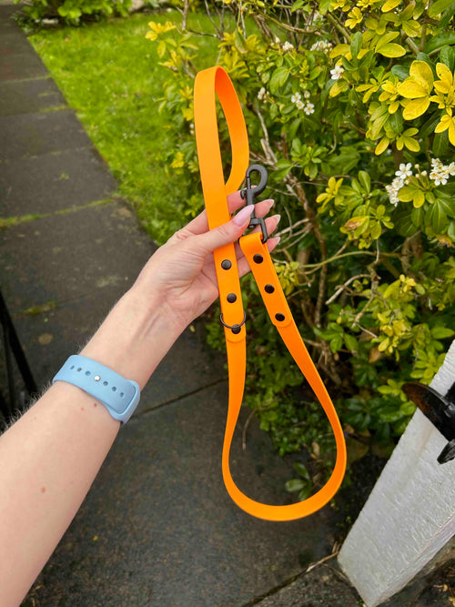 1.5m Biothane Lead image 0