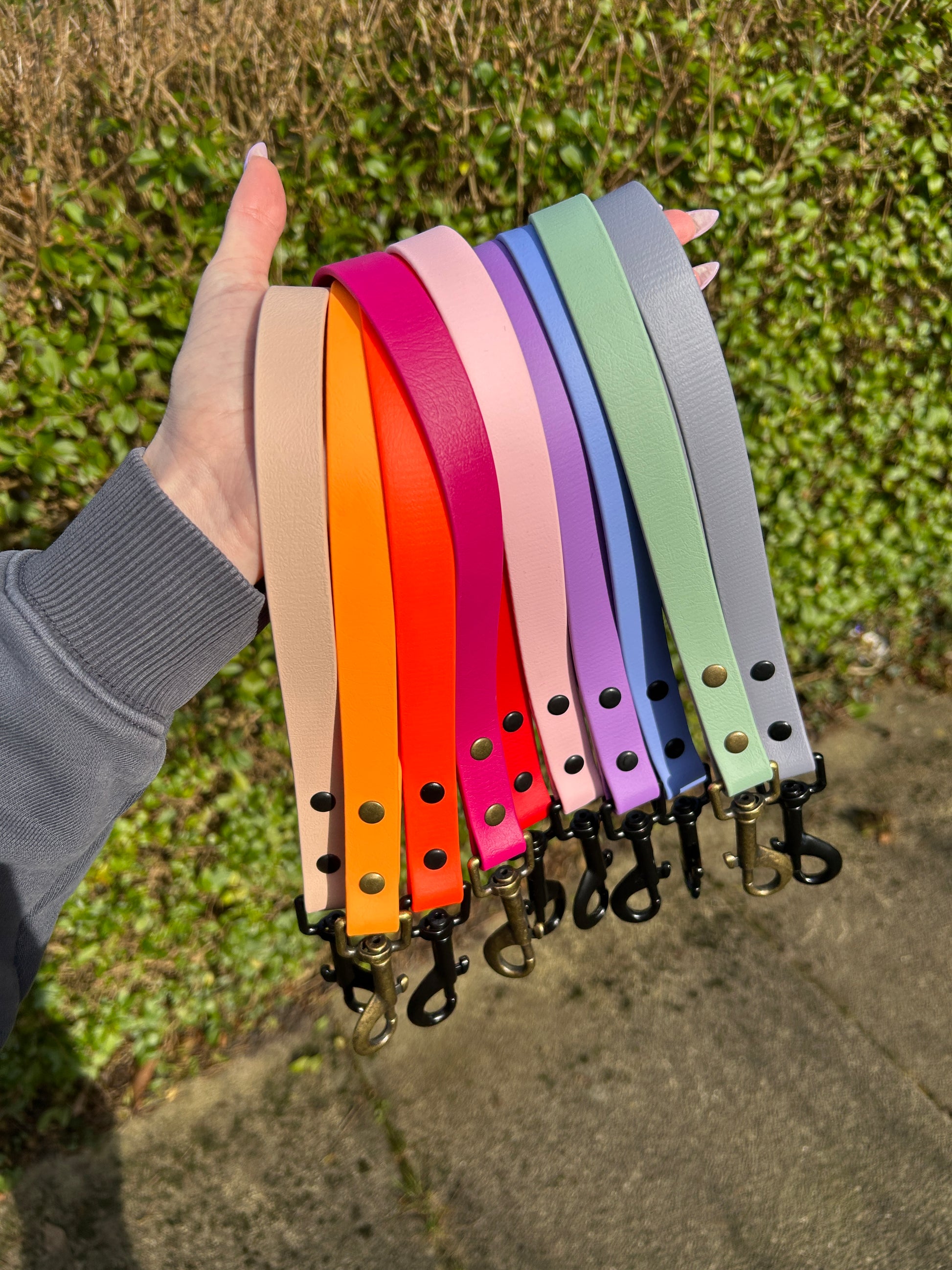 Biothane Tab Lead image 4