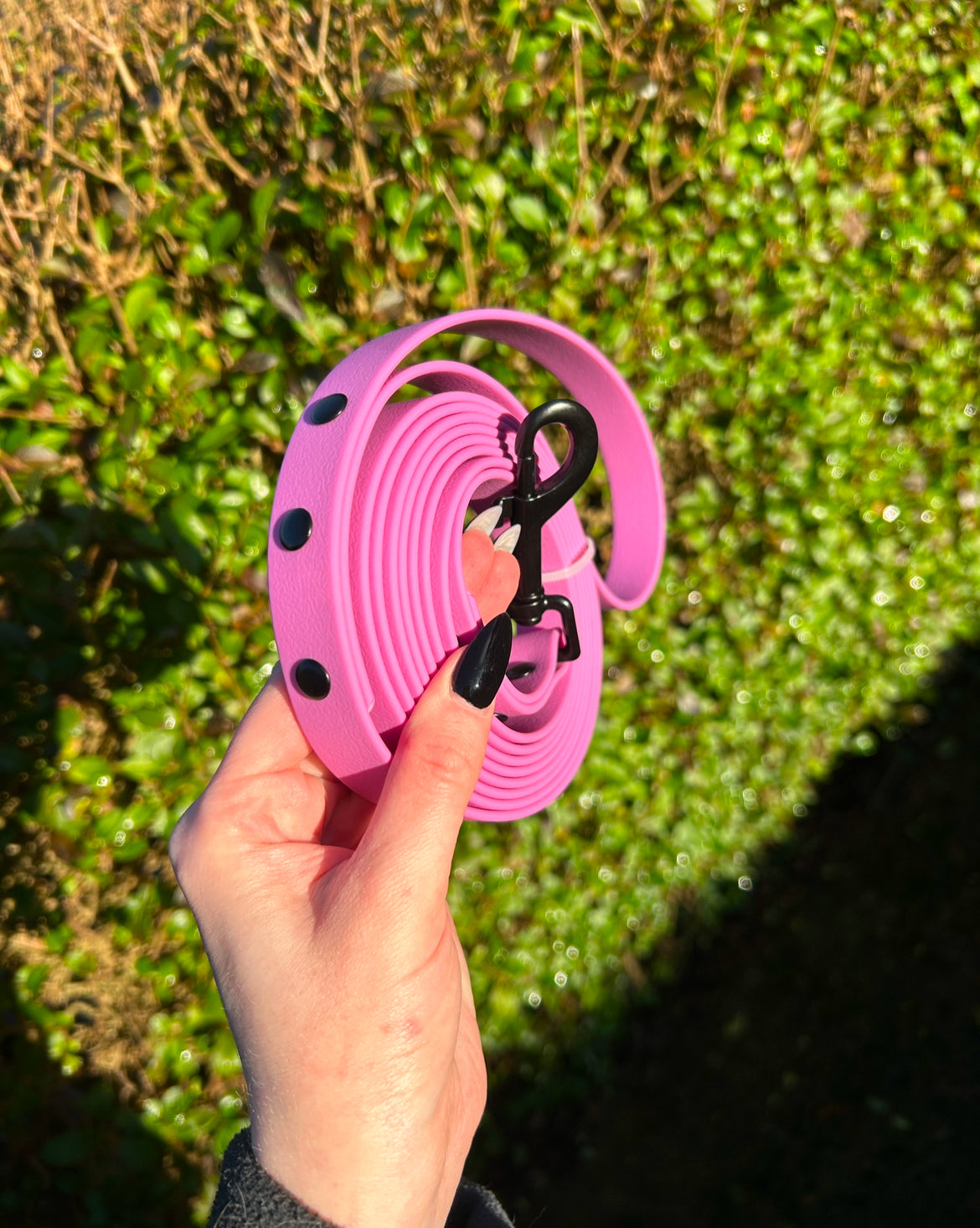 2.5m Recall Dog Lead image 3