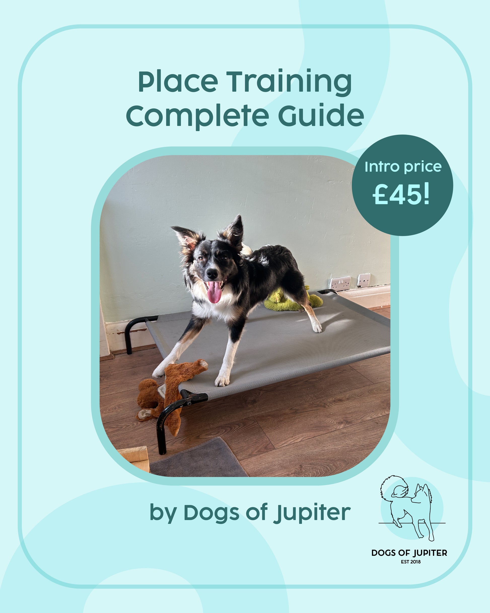 Place Training Complete Package