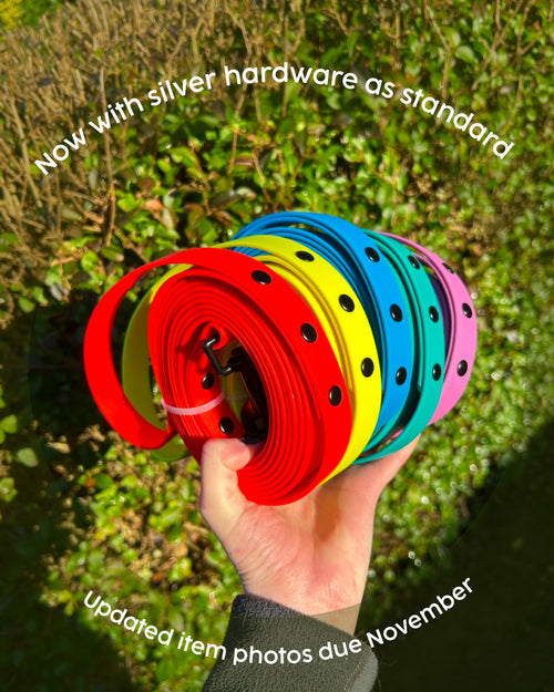 2.5m Recall Dog Lead