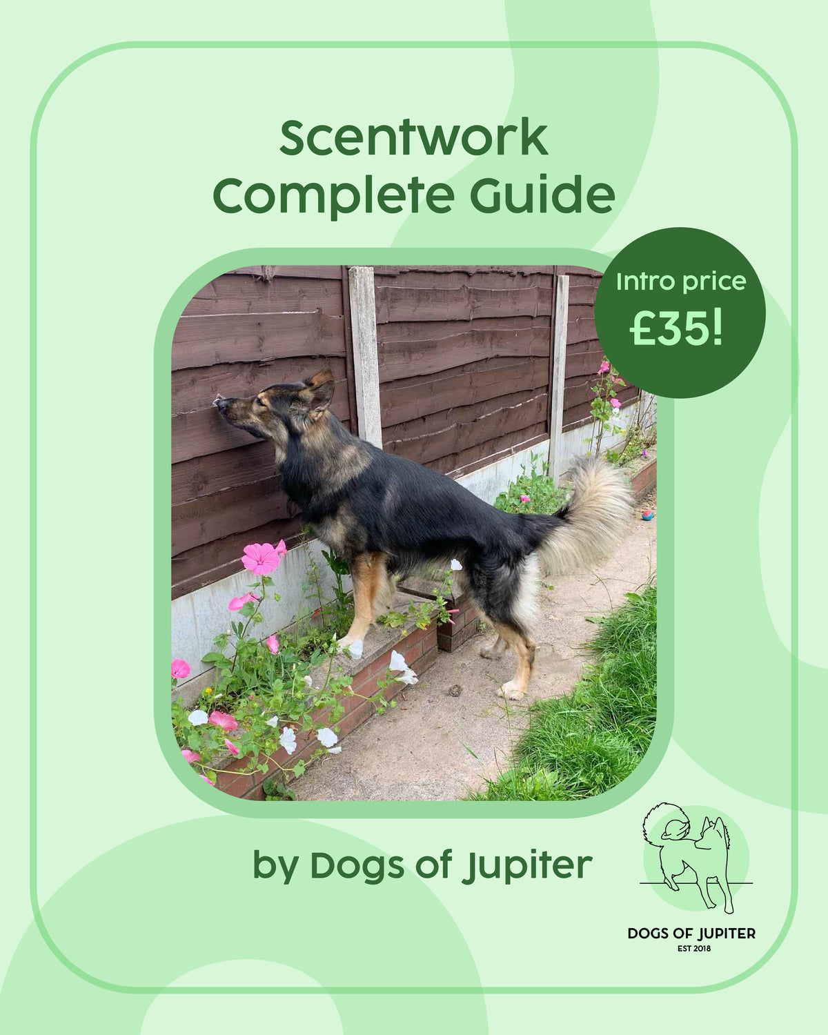Scentwork Complete Package
