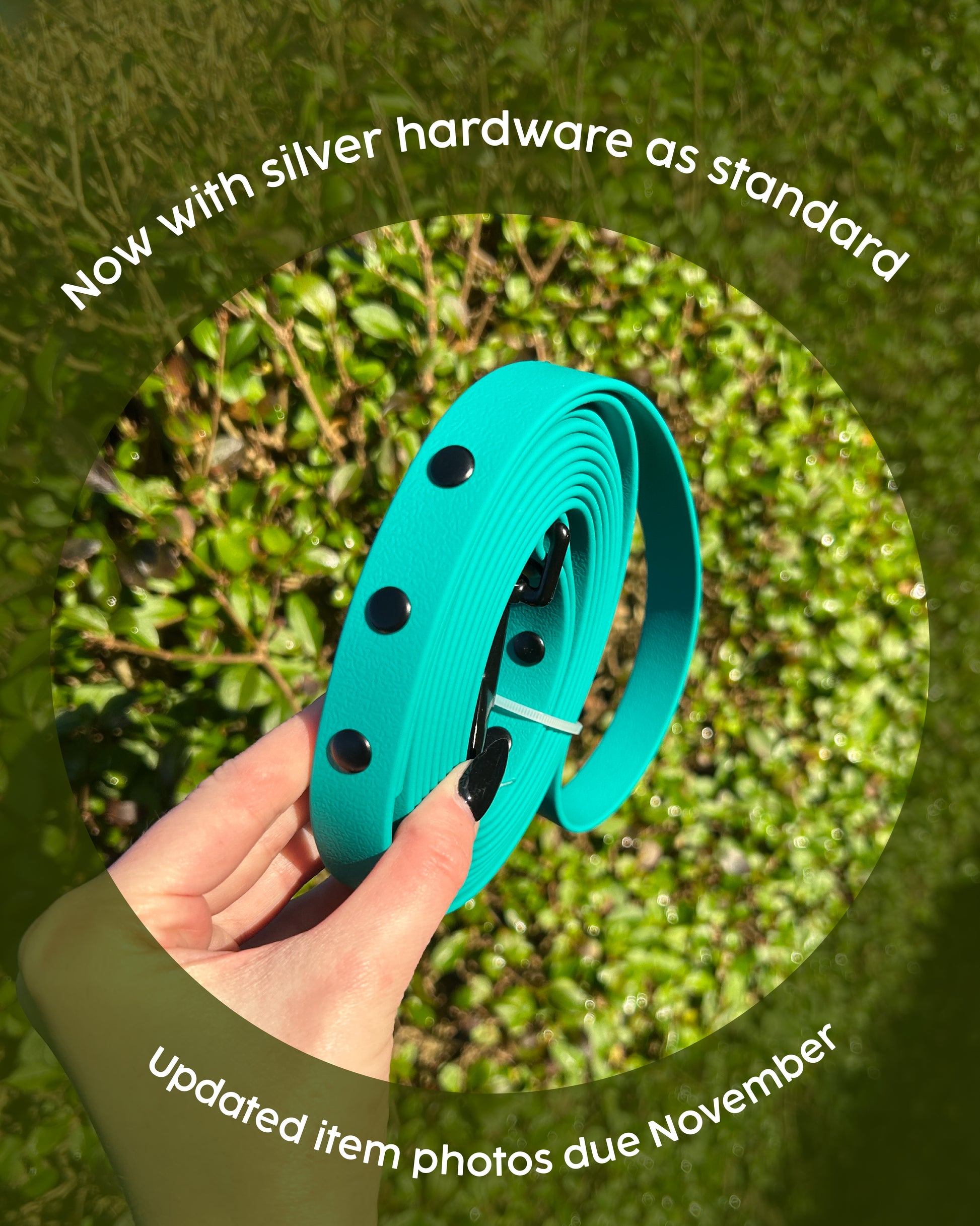 Skinny 2.5m Recall Dog Lead