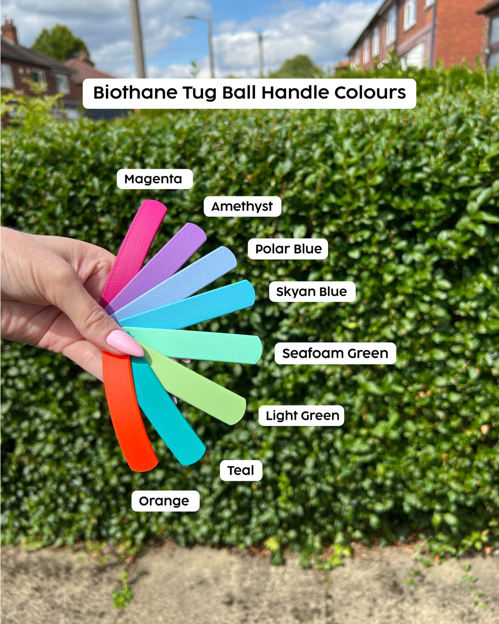 Chew King Tug Ball with Biothane Handle
